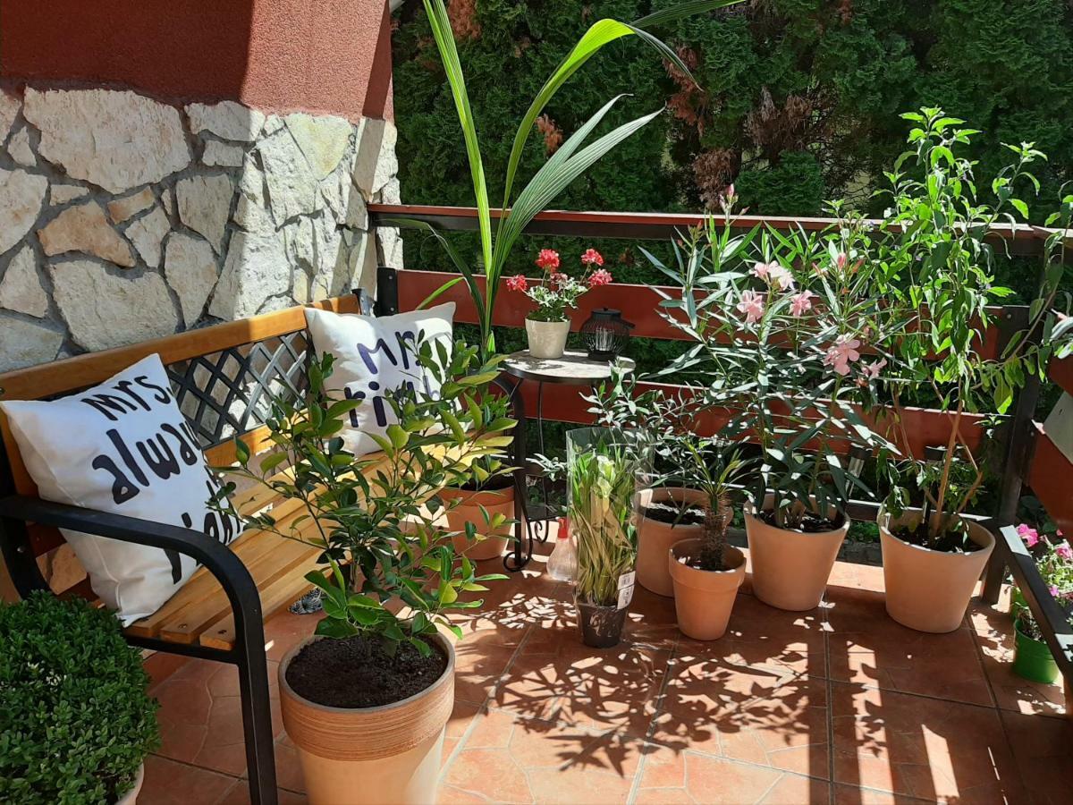 Zala Holiday Apartman Kestel Dış mekan fotoğraf